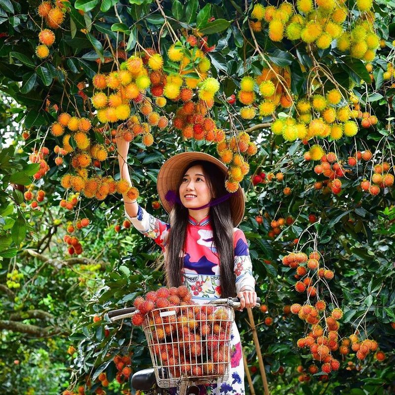 đi Miền Tây 30/4 đi Miền Tây 30/4